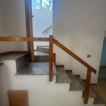 Pm 34 Strada Delle Primule Daire Pesaro